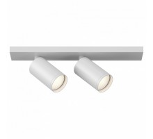 Светильник на штанге Maytoni Focus 1 C051CL-2W