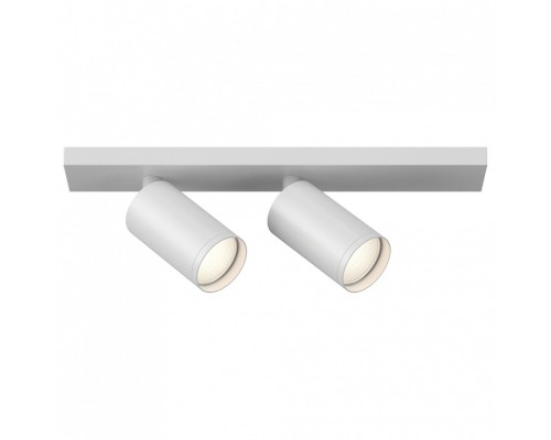 Светильник на штанге Maytoni Focus 1 C051CL-2W