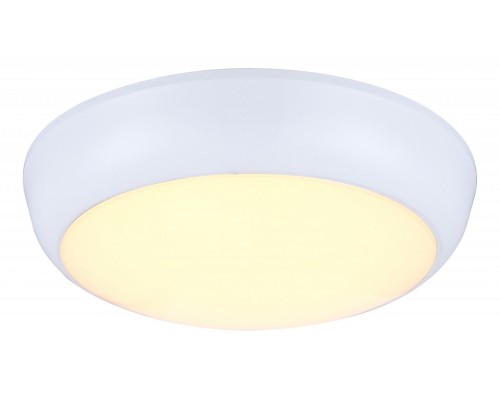 Накладной светильник Globo John 32116