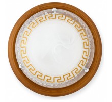 Накладной светильник TopLight Gien TL9173Y-02OA