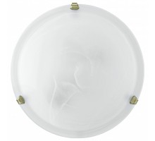 Накладной светильник Eglo ПРОМО Salome 7902