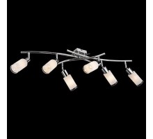 Спот Eurosvet Sherwood 20030/6 хром