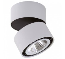 Светильник на штанге Lightstar Forte Muro LED 214839