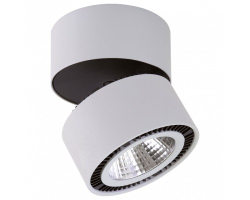 Светильник на штанге Lightstar Forte Muro LED 214839