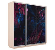 Шкаф-купе Экспресс Фото трио 1004 2400x600x2400