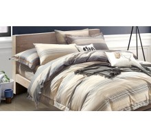 Постельное белье евростандарт RS-233