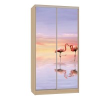 Шкаф-купе Рио 7-600