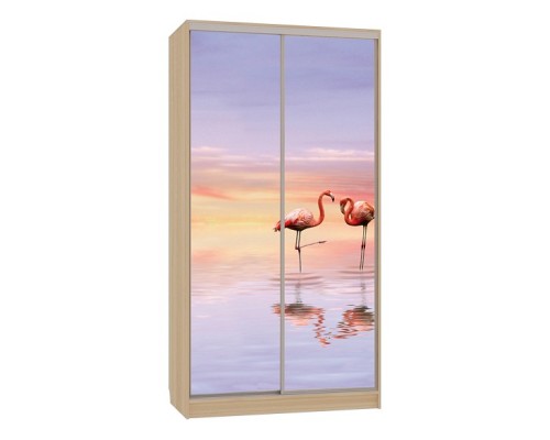 Шкаф-купе Рио 7-600