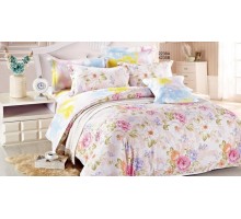 Постельное белье евростандарт CL-167