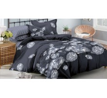 Постельное белье евростандарт Donald