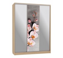 Шкаф-купе Бассо 9-600 78