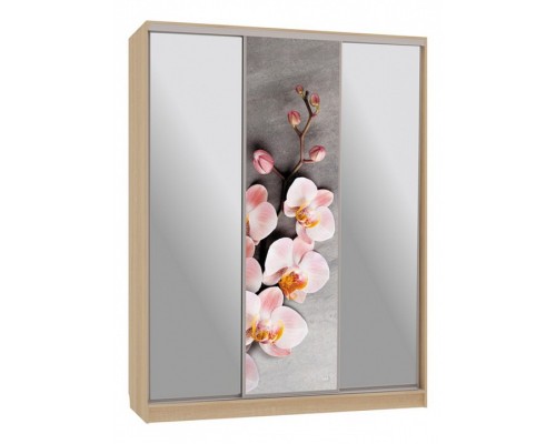 Шкаф-купе Бассо 9-600 78