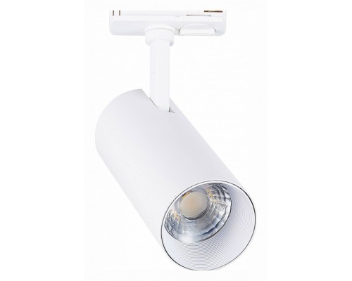 Светильник на штанге ST-Luce Mono