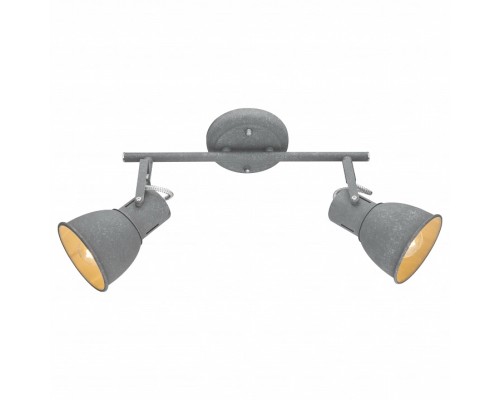 Спот Arte Lamp 1677 A1677PL-2GY