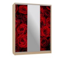 Шкаф-купе Бассо 10-600 89