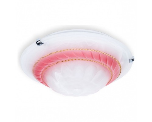 Накладной светильник TopLight Clare TL9101Y-02PK