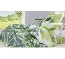 Постельное белье полутораспальное B-151