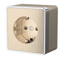 Розетка с заземлением и шторками Werkel  WL15-02-02 (шампань рифленый)