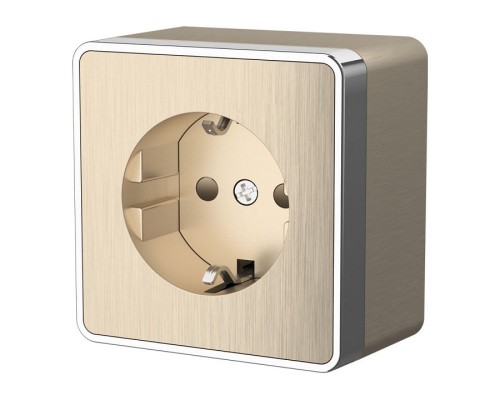 Розетка с заземлением и шторками Werkel  WL15-02-02 (шампань рифленый)