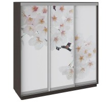 Шкаф-купе Румер