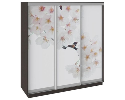 Шкаф-купе Румер