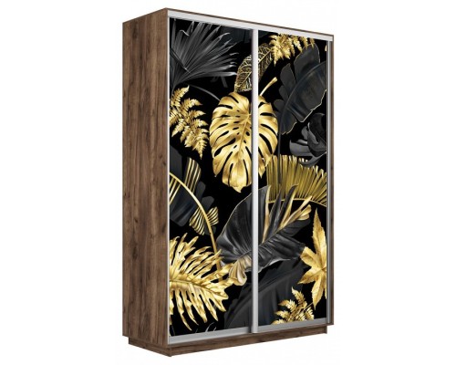 Шкаф-купе Экспресс Фото дуо 1003 1400x450x2400