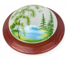 Накладной светильник TopLight Witaec TL9470Y-01OA