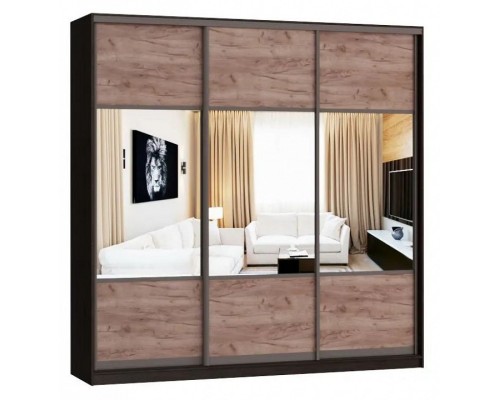 Шкаф-купе А0471495464 2400x580