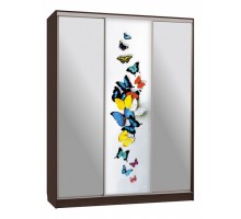 Шкаф-купе Бассо 9-600 88