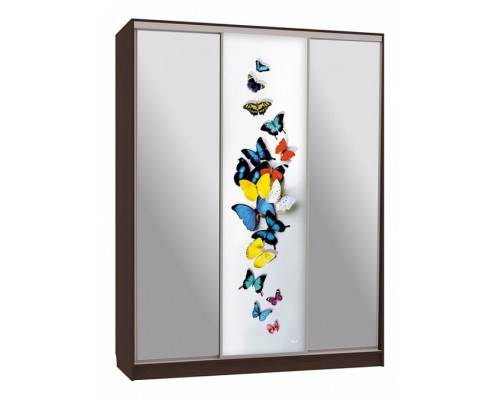 Шкаф-купе Бассо 9-600 88