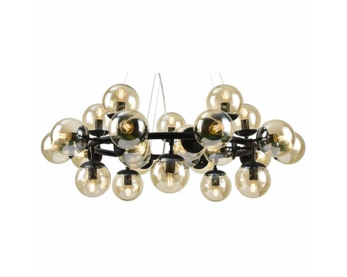 Подвесной светильник Arte Lamp 1664 A1664SP-25BK