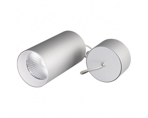 Подвесной светильник Arlight Sp-polo-r85 SP-POLO-R85-2-15W Day White 40deg (Silver, White Ring)