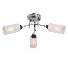 Потолочная люстра Vitaluce  V4896-9/3PL