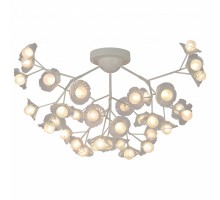 Подвесная люстра F-promo Clementina 2628-36U