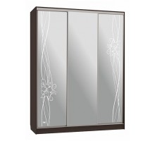 Шкаф-купе Бассо 4-600 волны 2