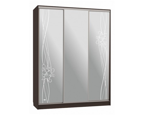 Шкаф-купе Бассо 4-600 волны 2