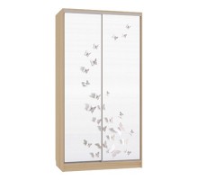 Шкаф-купе Рио 7-600 18