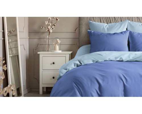 Постельное белье евростандарт Василек