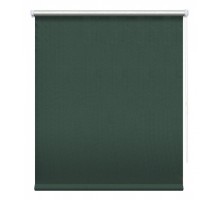 Штора рулонная (57x175 см) Сильвер