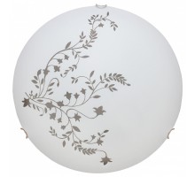 Накладной светильник Arte Lamp Symphony A3820PL-2CC