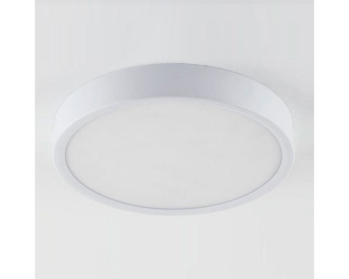 Накладной светильник Elektrostandard DLR034 a043015