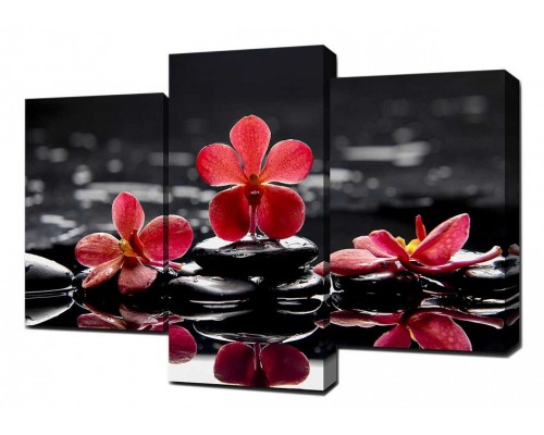 Набор из 3 картин TopLight TL-TM TL-TM1003