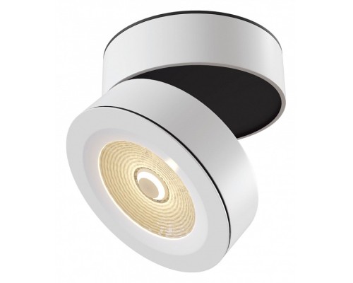 Накладной светильник Maytoni Treviso C023CL-L20W