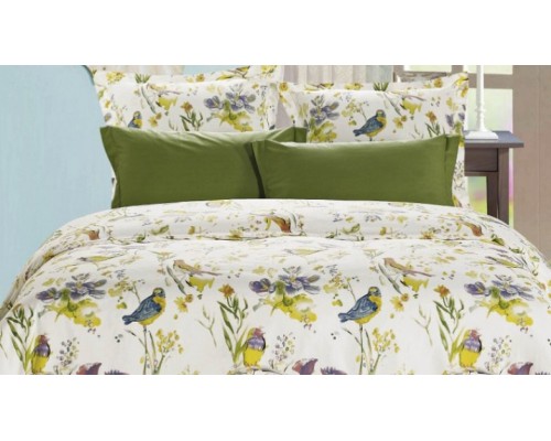 Постельное белье евростандарт B-157