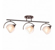 Люстра на штанге SilverLight Sfera 255.59.3