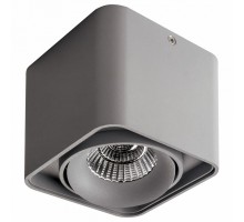 Накладной светильник Lightstar Monocco 212519