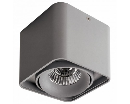 Накладной светильник Lightstar Monocco 212519