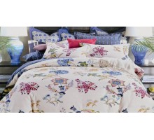 Постельное белье евростандарт CL-187