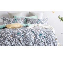 Постельное белье евростандарт Sharon