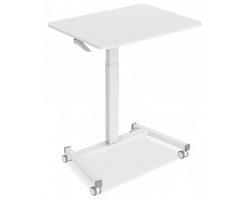 Подставка для ноутбука CS-FDS102WWT